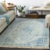 Surya Zainab ZAI-2314 Handmade Area Rug ZAI2314-81012